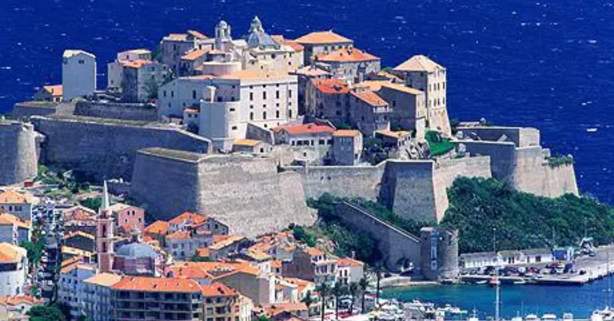 Calvi
